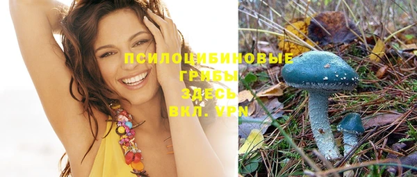 экстази Липки
