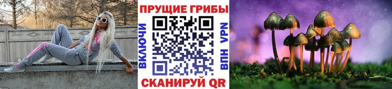 Галлюциногенные грибы Cubensis  Купить  Урай 