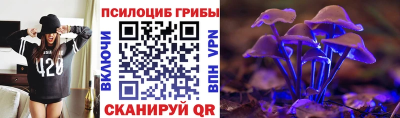 Псилоцибиновые грибы мицелий Урай